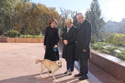 Moldova’s first dog nips Austrian president on the hand during official visit